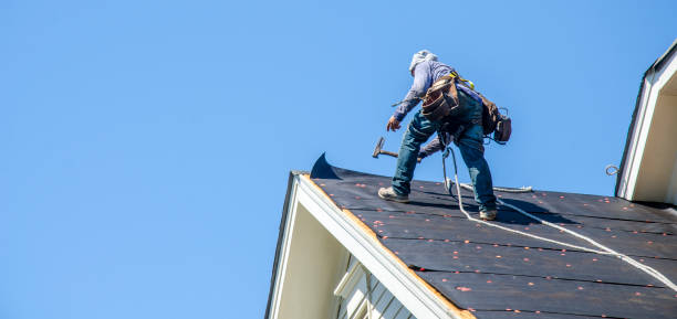 Best Roof Waterproofing Services  in Sumrall, MS